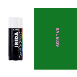 RAL 6029 Minzgrün400ml Spray